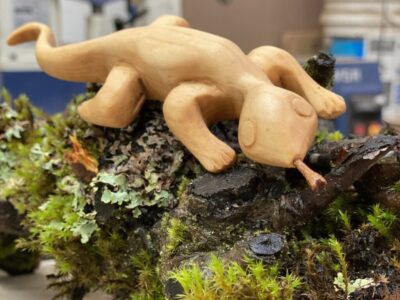 Whittling Basics – Winter 2025 Whittling Basics – Winter 2025