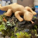 Whittling Basics – Winter 2026